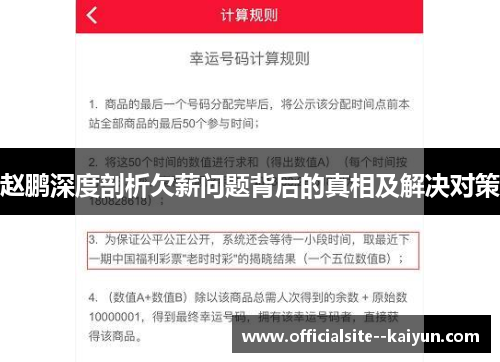 赵鹏深度剖析欠薪问题背后的真相及解决对策 赵鹏深度剖析欠薪问题背后的真相及解决对策